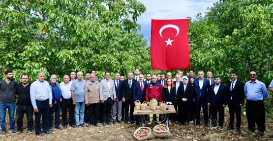 BAŞKAN TOPTAŞ, CEVİZ HASAT ŞENLİĞİNDE