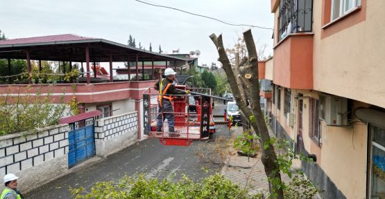 DULKADİROĞLU BELEDİYESİ’NDEN YEŞİL ALANLARA TAM DESTEK