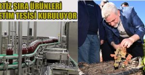 BERTİZ’E ŞIRA ÜRÜNLERİ ÜRETİM TESİSİ